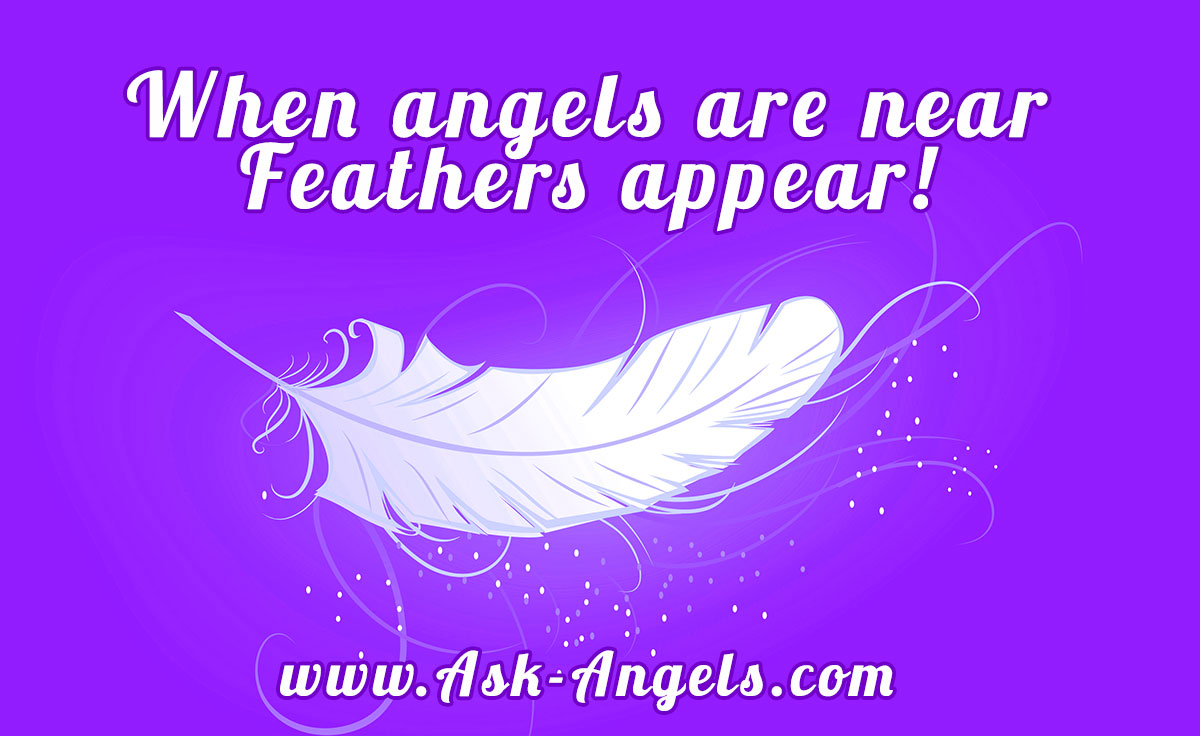 Angel Feathers. What Is The Meaning of Finding Feathers?