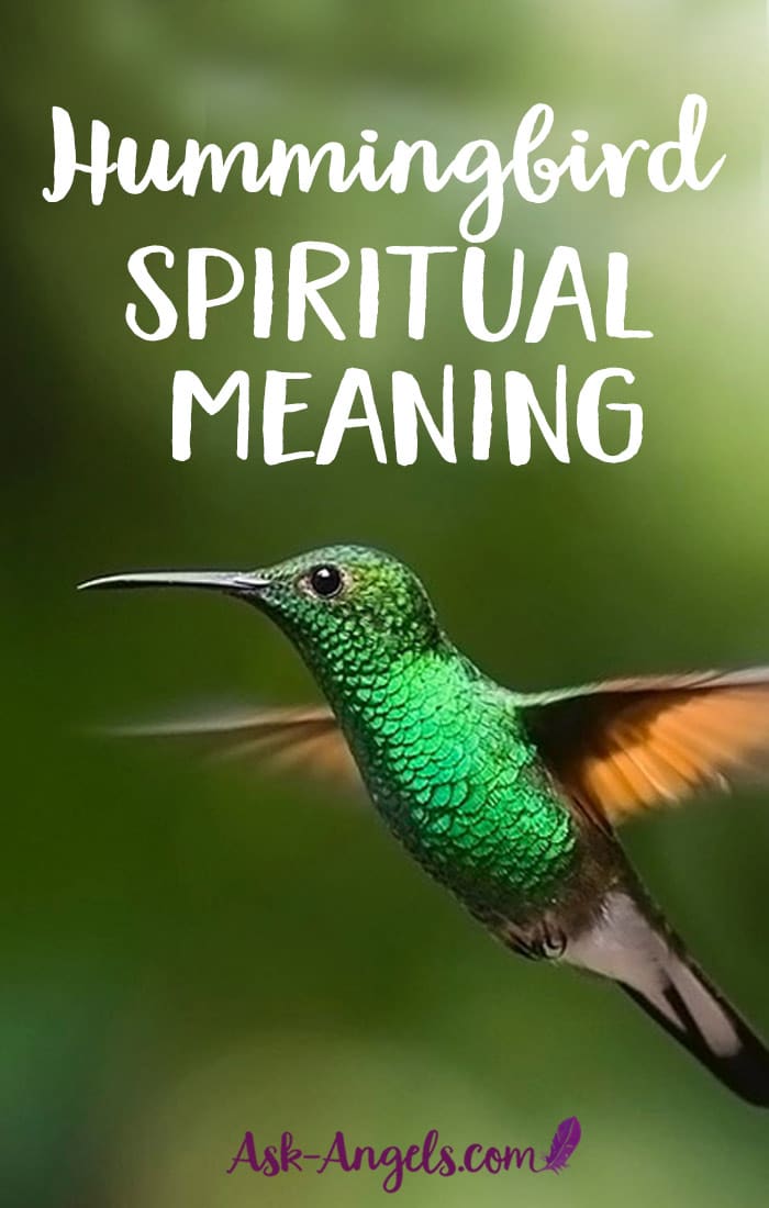 4 Hummingbird Meanings Learn About Hummingbird Symbolism